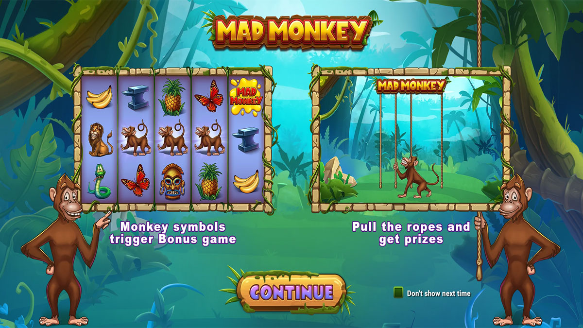  Mad Monkey