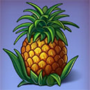 Mad Monkey Pineapple