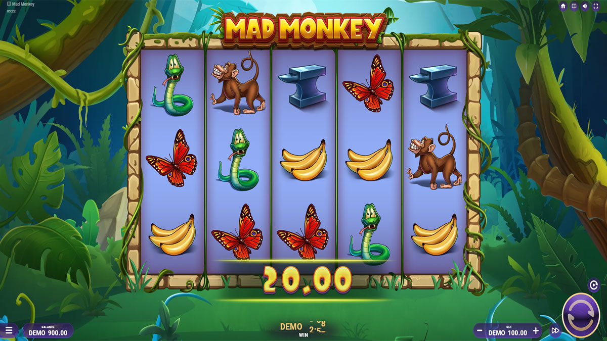  Mad Monkey