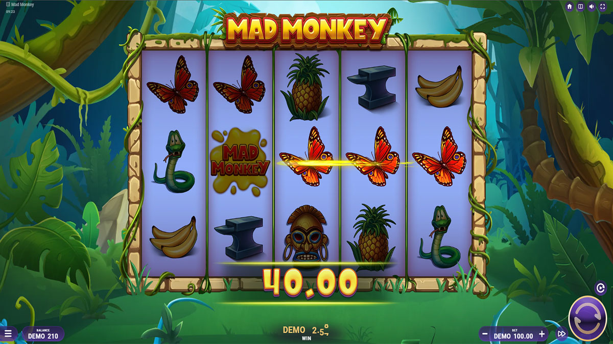 Mad Monkey